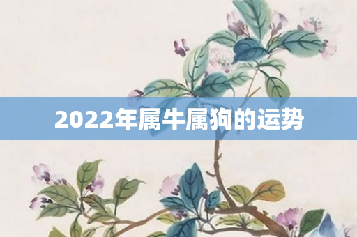 2022年属牛属狗的运势