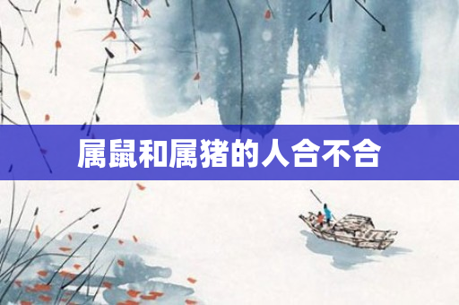 属鼠和属猪的人合不合