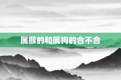 属猴的和属狗的合不合