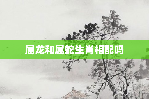 属龙和属蛇生肖相配吗