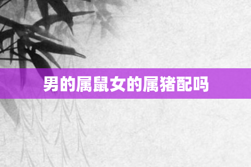 男的属鼠女的属猪配吗