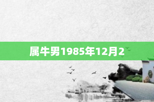属牛男1985年12月2