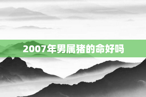 2007年男属猪的命好吗