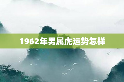 1962年男属虎运势怎样