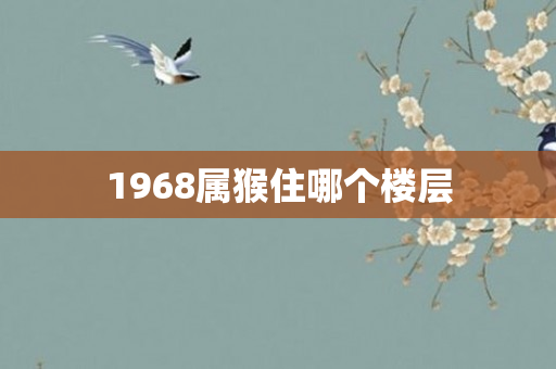 1968属猴住哪个楼层