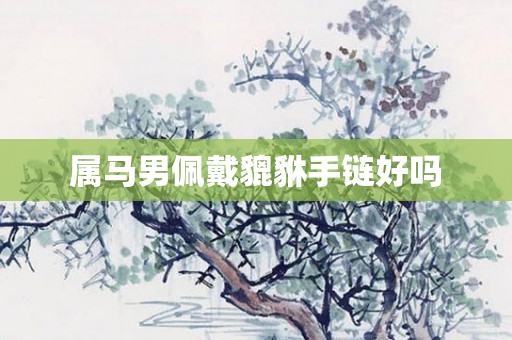 属马男佩戴貔貅手链好吗