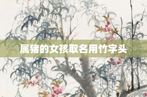 属猪的女孩取名用竹字头