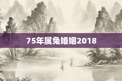 75年属兔婚姻2018