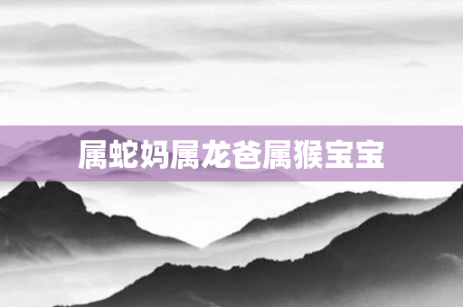 属蛇妈属龙爸属猴宝宝