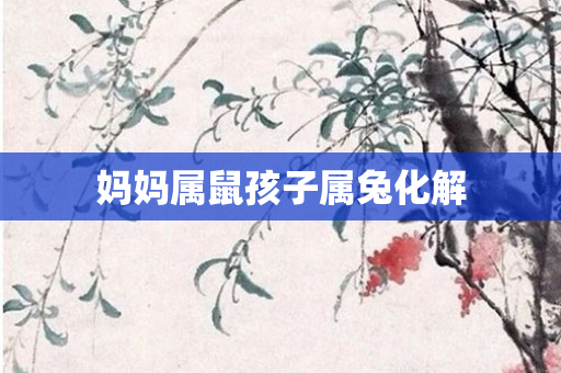 妈妈属鼠孩子属兔化解