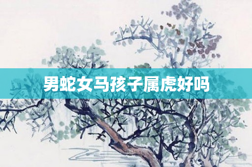 男蛇女马孩子属虎好吗