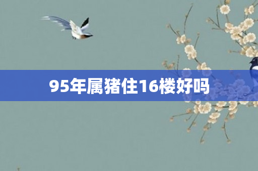 95年属猪住16楼好吗