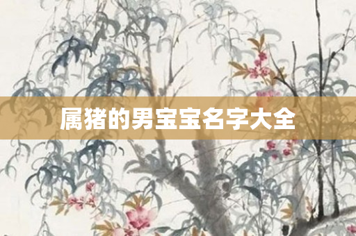 属猪的男宝宝名字大全