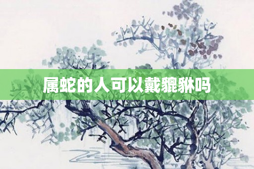 属蛇的人可以戴貔貅吗