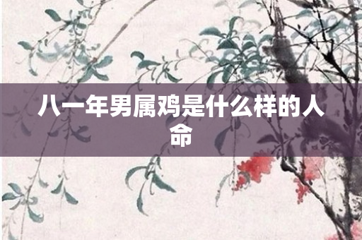 八一年男属鸡是什么样的人命