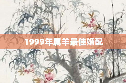 1999年属羊更佳婚配