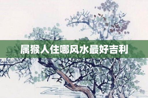 属猴人住哪风水更好吉利