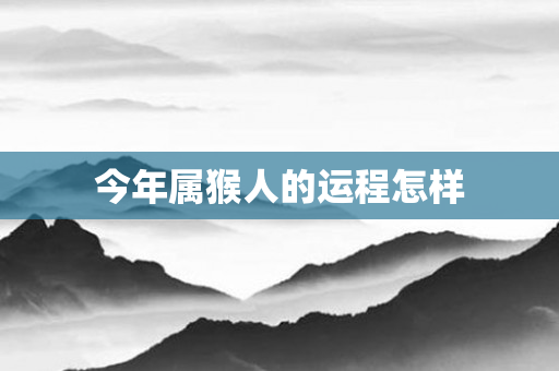今年属猴人的运程怎样