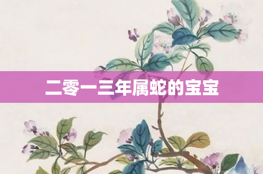 二零一三年属蛇的宝宝