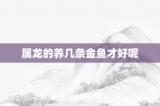 属龙的养几条金鱼才好呢