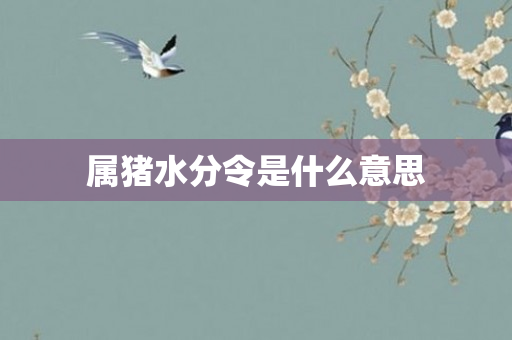 属猪水分令是什么意思