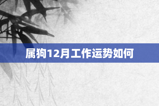 属狗12月工作运势如何