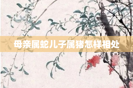 母亲属蛇儿子属猪怎样相处