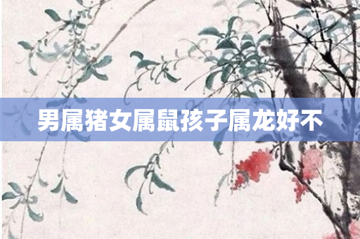 男属猪女属鼠孩子属龙好不