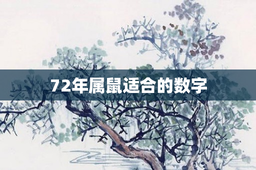 72年属鼠适合的数字