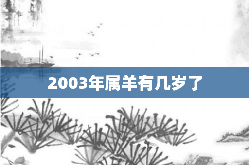 2003年属羊有几岁了