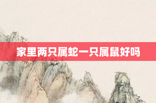 家里两只属蛇一只属鼠好吗