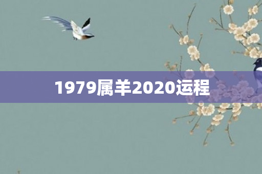 1979属羊2020运程