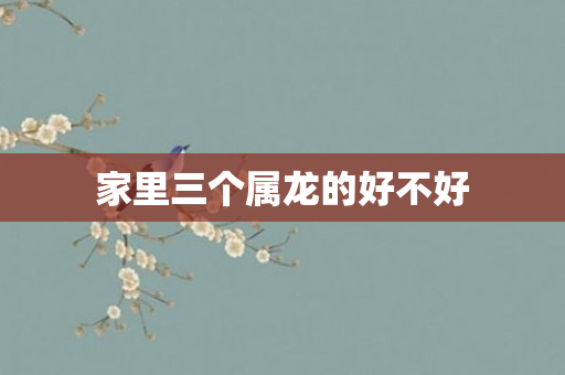 家里三个属龙的好不好