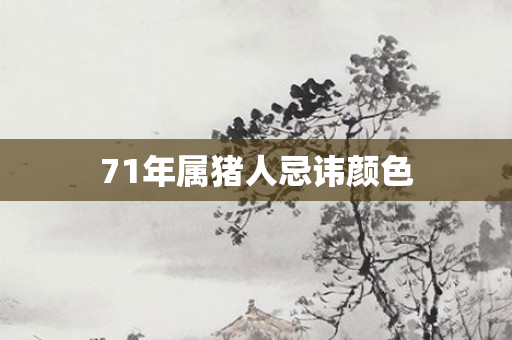 71年属猪人忌讳颜色