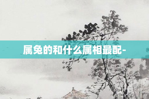 属兔的和什么属相最配-