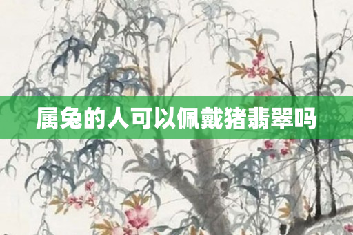 属兔的人可以佩戴猪翡翠吗