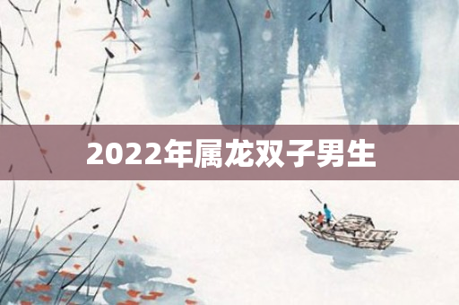 2022年属龙双子男生