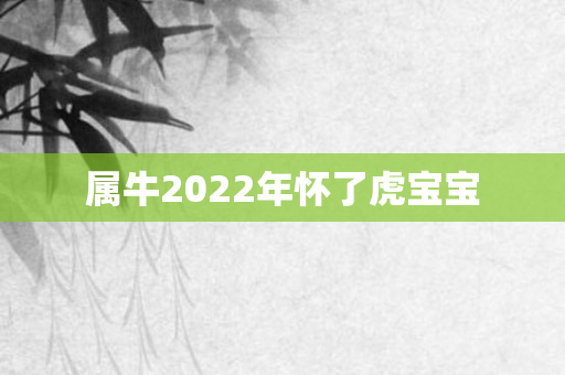 属牛2022年怀了虎宝宝