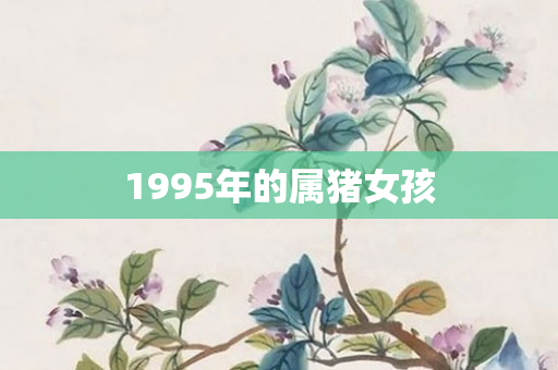 1995年的属猪女孩
