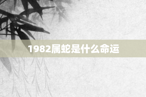 1982属蛇是什么命运