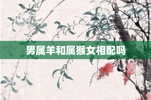 男属羊和属猴女相配吗