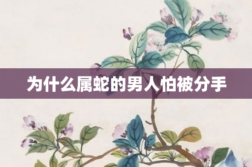 为什么属蛇的男人怕被分手