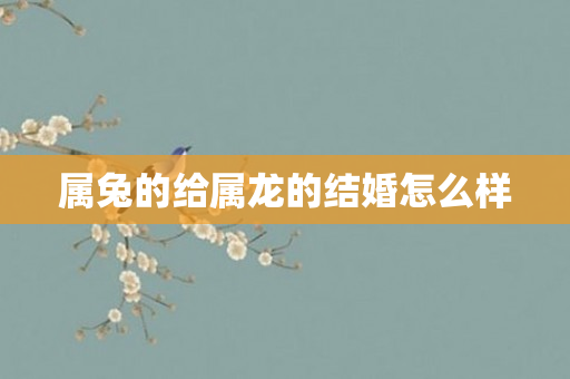 属兔的给属龙的结婚怎么样