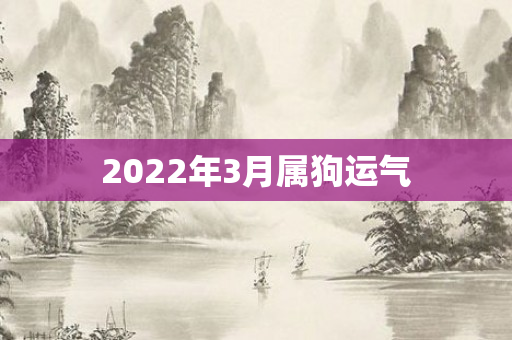 2022年3月属狗运气