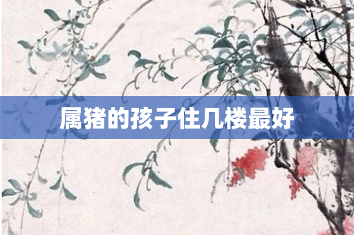 属猪的孩子住几楼更好