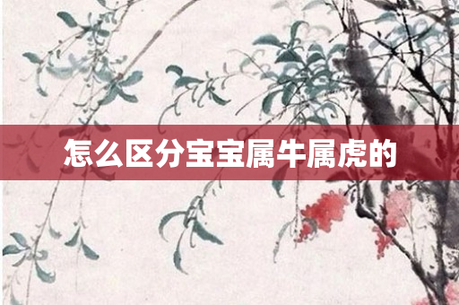 怎么区分宝宝属牛属虎的