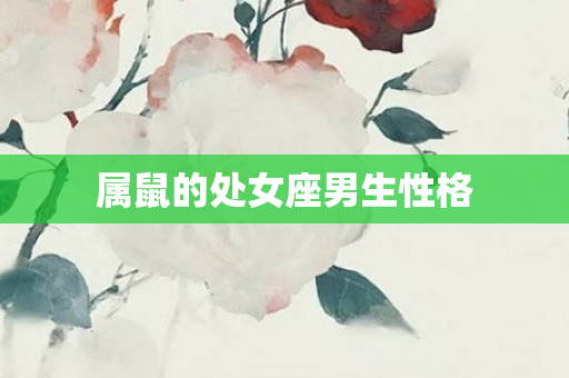 属鼠的处女座男生性格