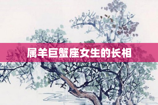 属羊巨蟹座女生的长相