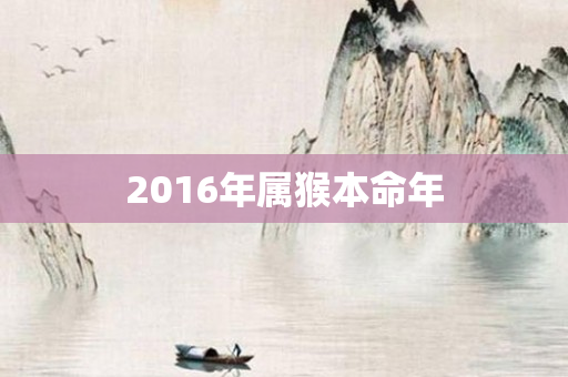 2016年属猴本命年
