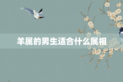 羊属的男生适合什么属相